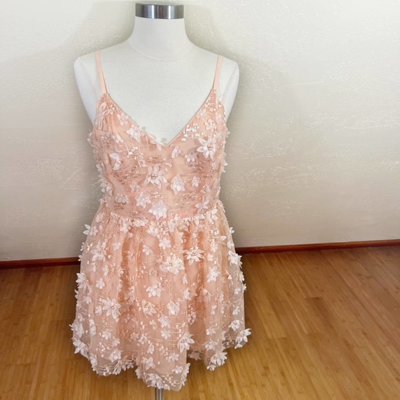 Lulu's Feeling Flirty Blush Pink Floral Applique Mini Skater Dress NWT M - Picture 2 of 4